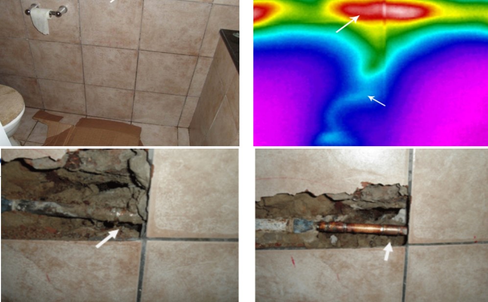 Adapazari Sızıntı Tespiti 